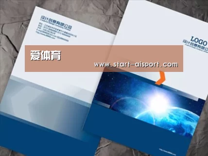 项目名称十