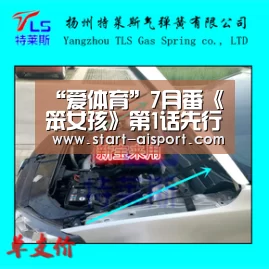 爱体育